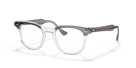 [Clear Lenses, Polished Grey On Transparent Frame]