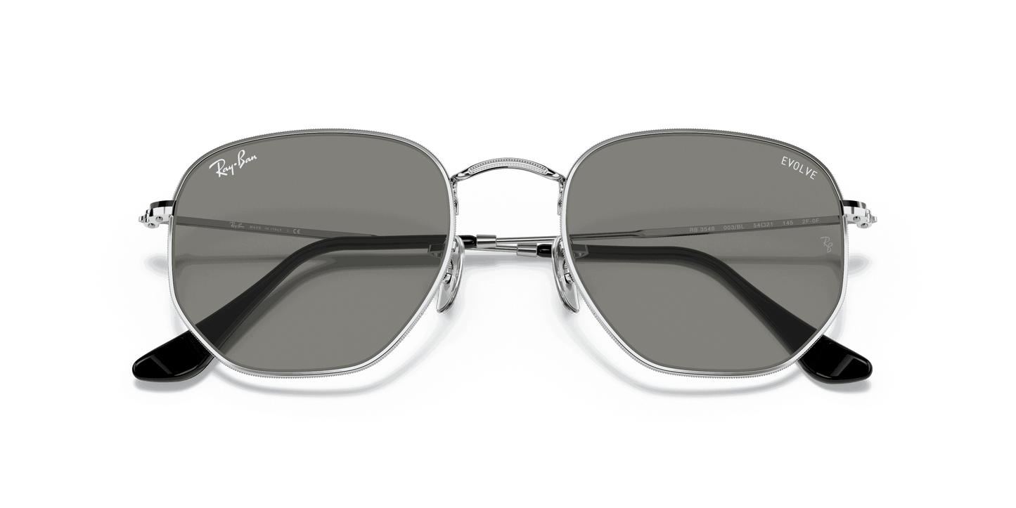 [Clear Lenses, Polished Silver Frame]