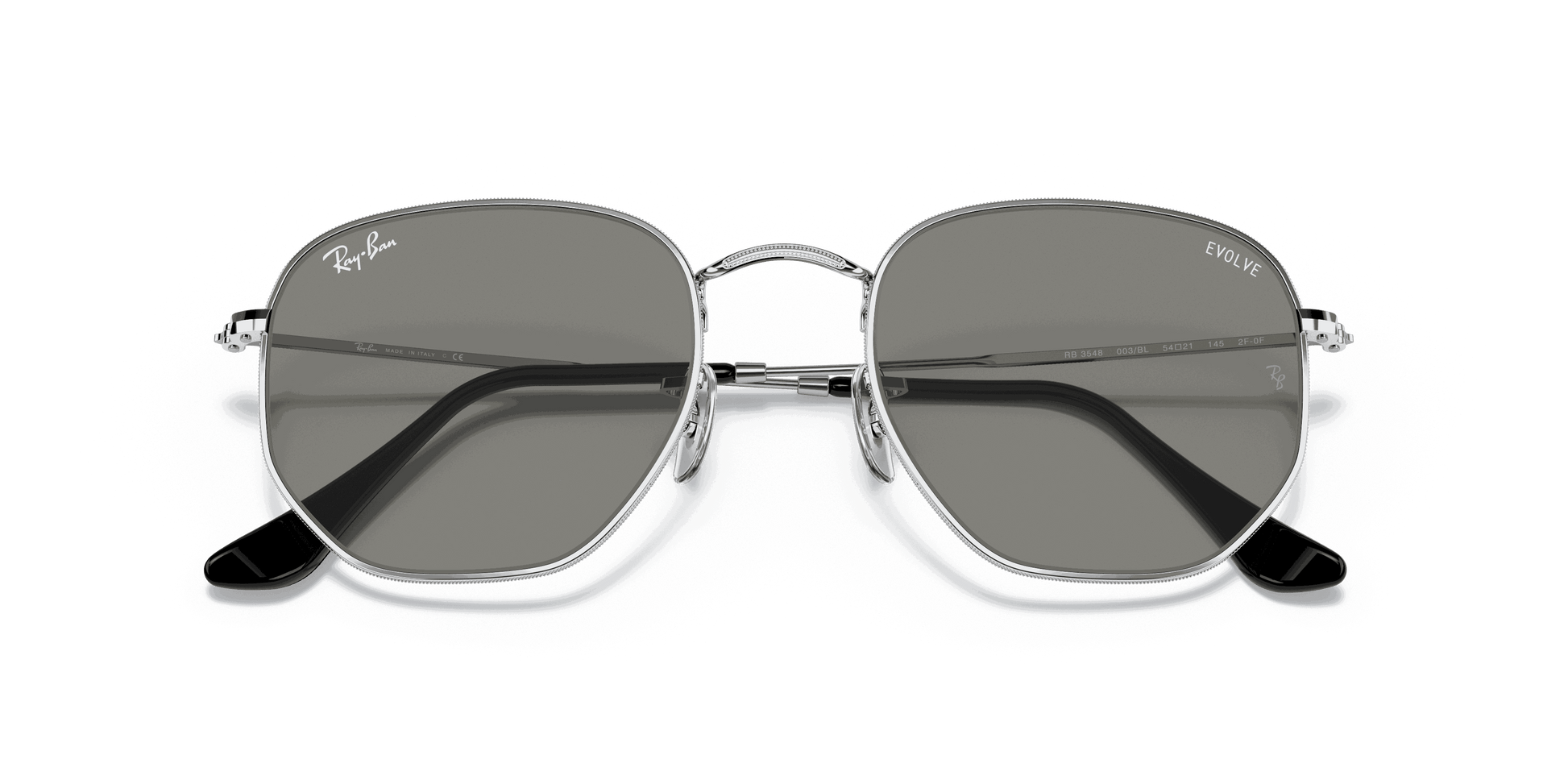 [Clear Lenses, Polished Silver Frame]