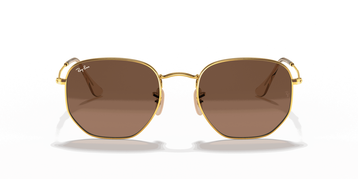 [Brown Lenses, Polished Arista Gold Frame]