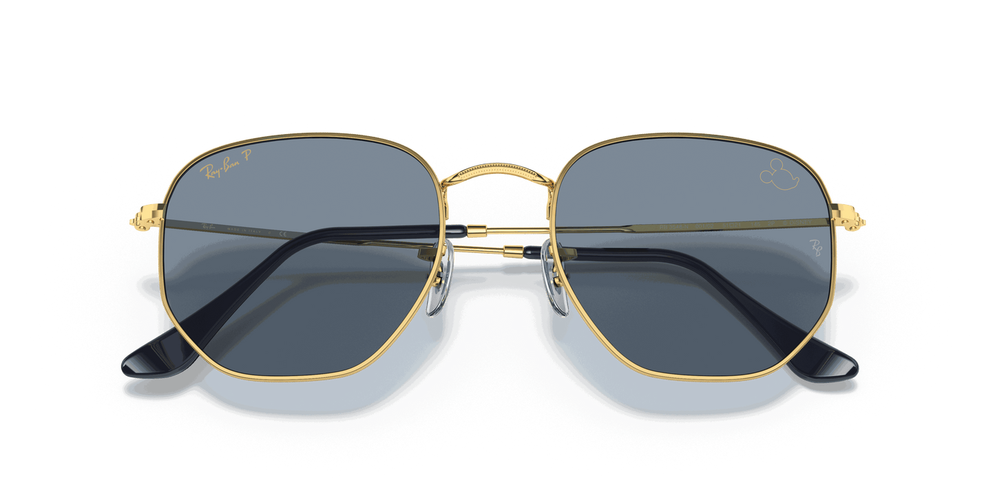 [Polarized Blue/Silver Lenses, Polished Arista Gold Frame]