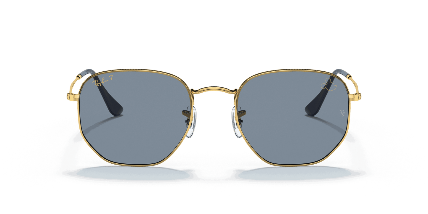 [Polarized Blue/Silver Lenses, Polished Arista Gold Frame]