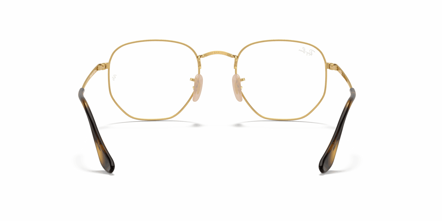 [Clear Lenses, Polished Havana On Gold Frame]