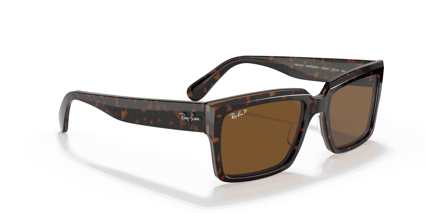 [B-15 Brown Lenses, Polished Havana On Transparent Brown Frame]