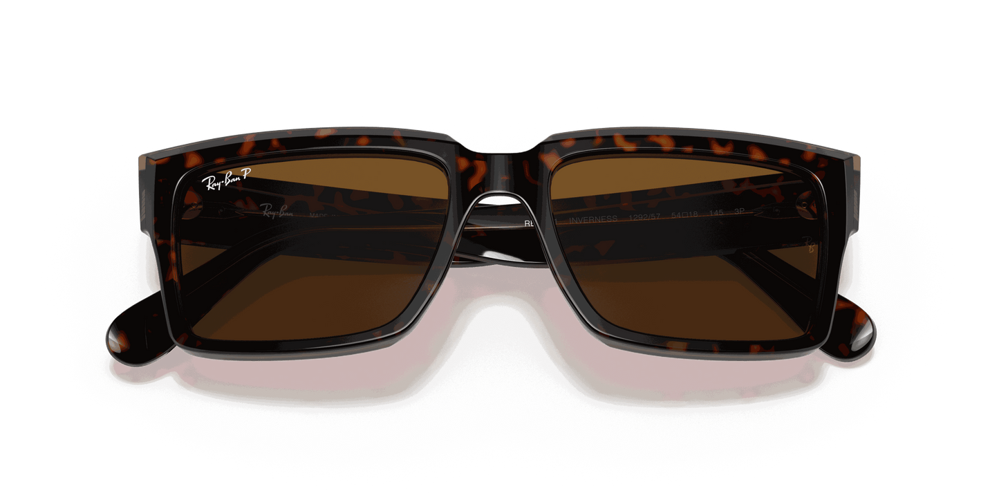 [B-15 Brown Lenses, Polished Havana On Transparent Brown Frame]