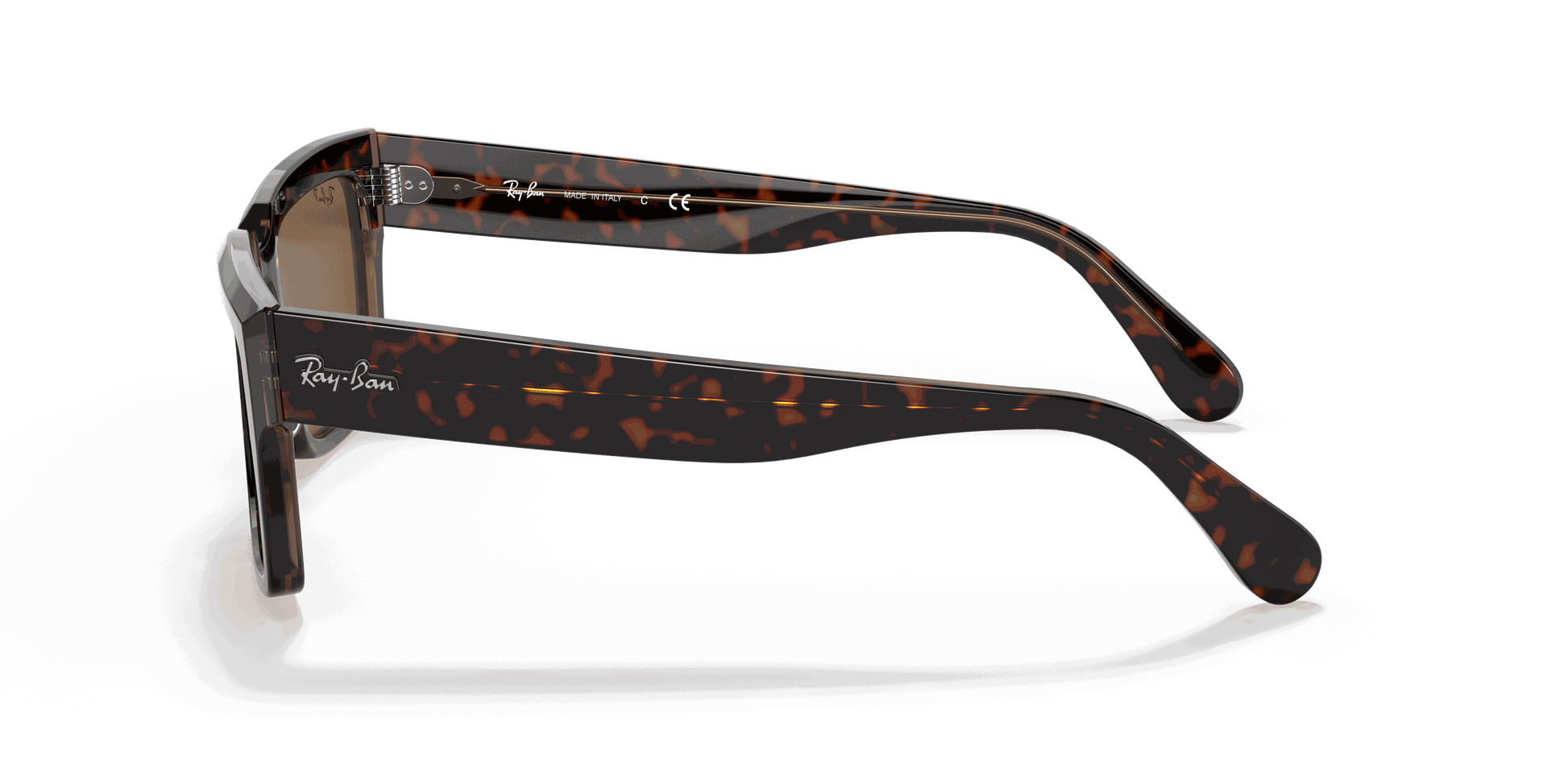 [B-15 Brown Lenses, Polished Havana On Transparent Brown Frame]