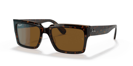 [B-15 Brown Lenses, Polished Havana On Transparent Brown Frame]