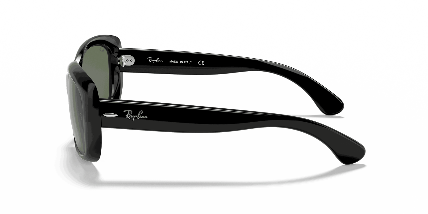 [Dark Green Lenses, Polished Black Frame]