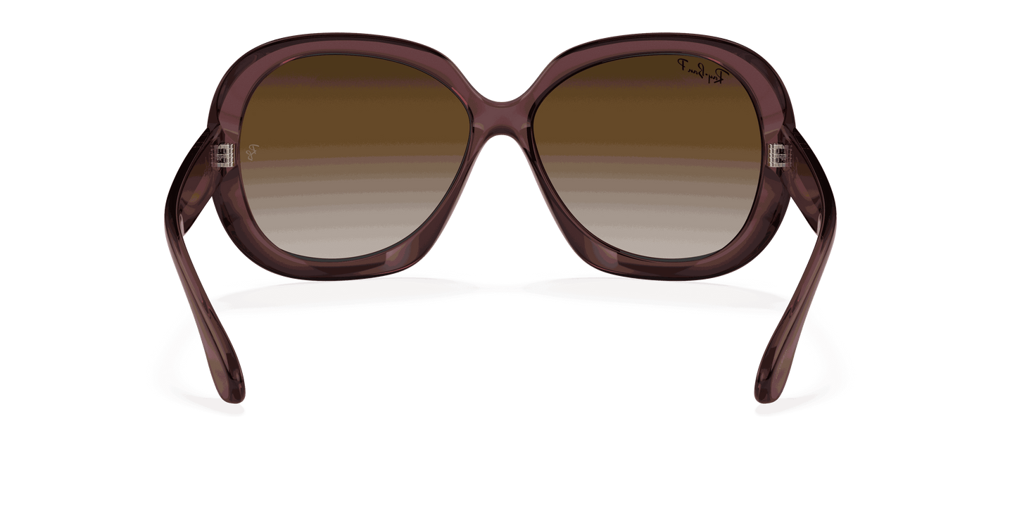 [Grey Gradient Brown Polar Lenses, Polished Transparent Dark Brown Frame]