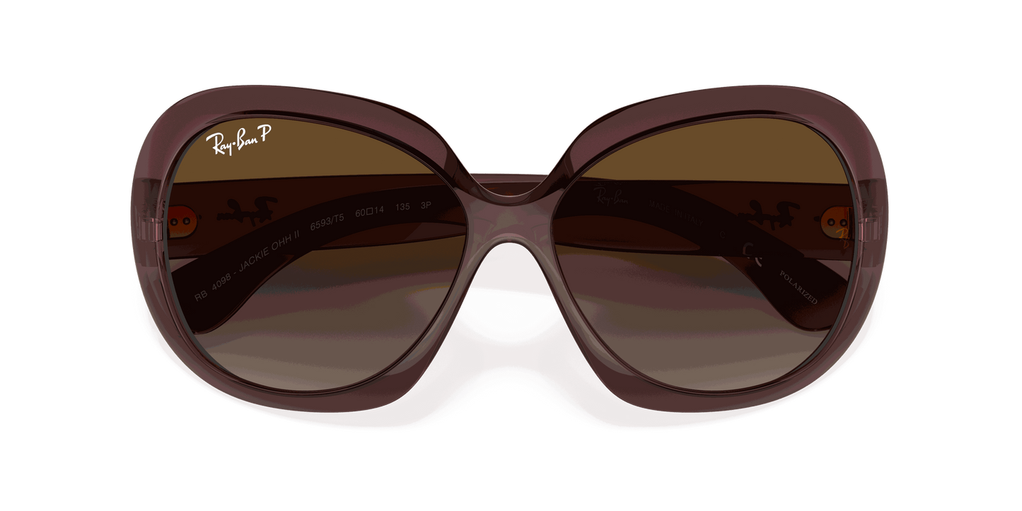 [Grey Gradient Brown Polar Lenses, Polished Transparent Dark Brown Frame]