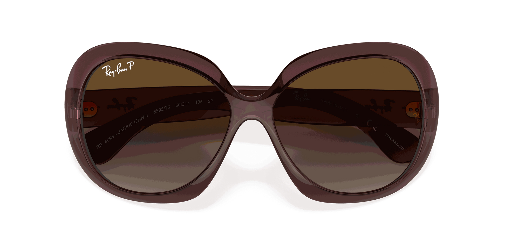 [Grey Gradient Brown Polar Lenses, Polished Transparent Dark Brown Frame]
