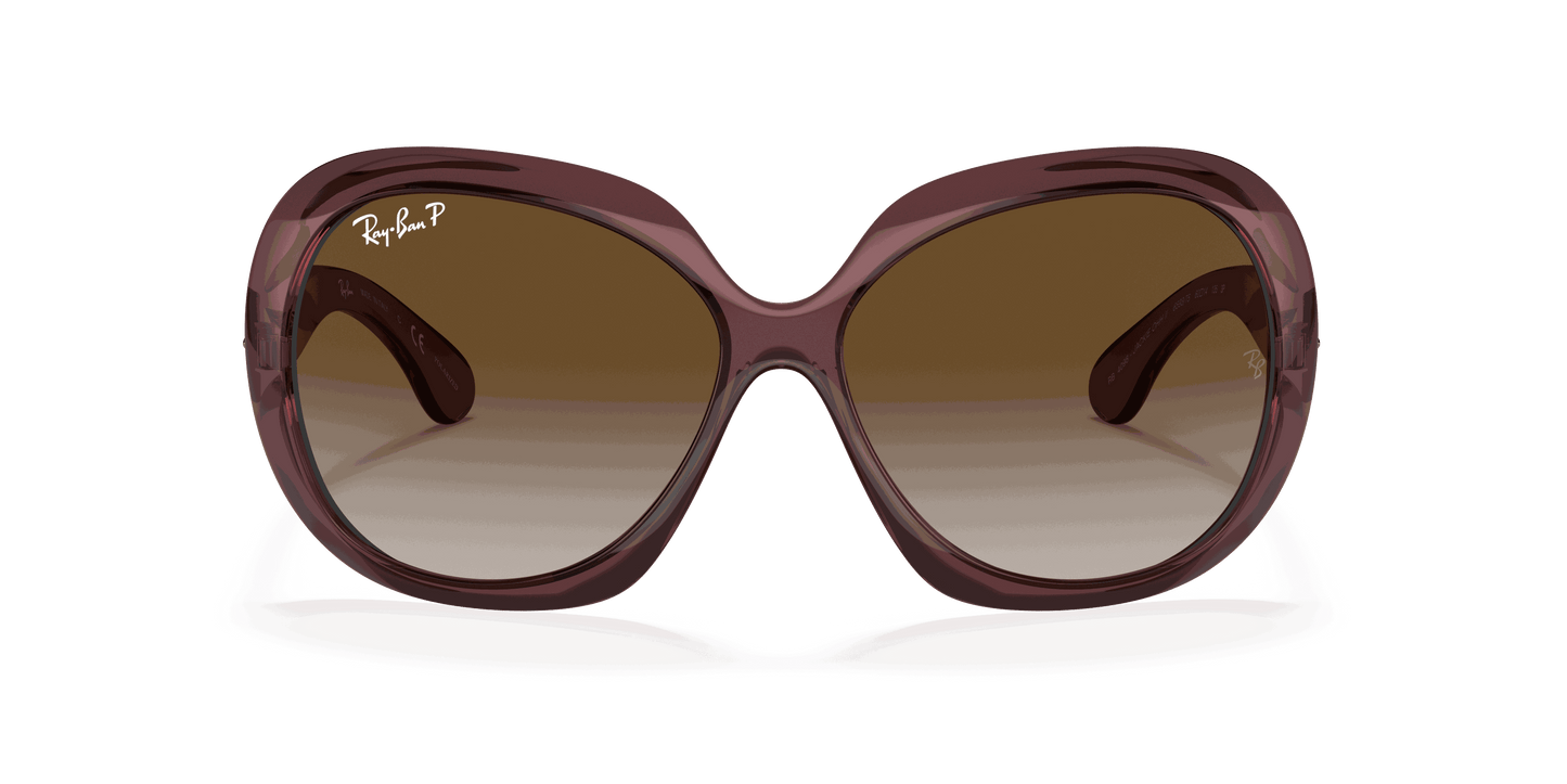 [Grey Gradient Brown Polar Lenses, Polished Transparent Dark Brown Frame]