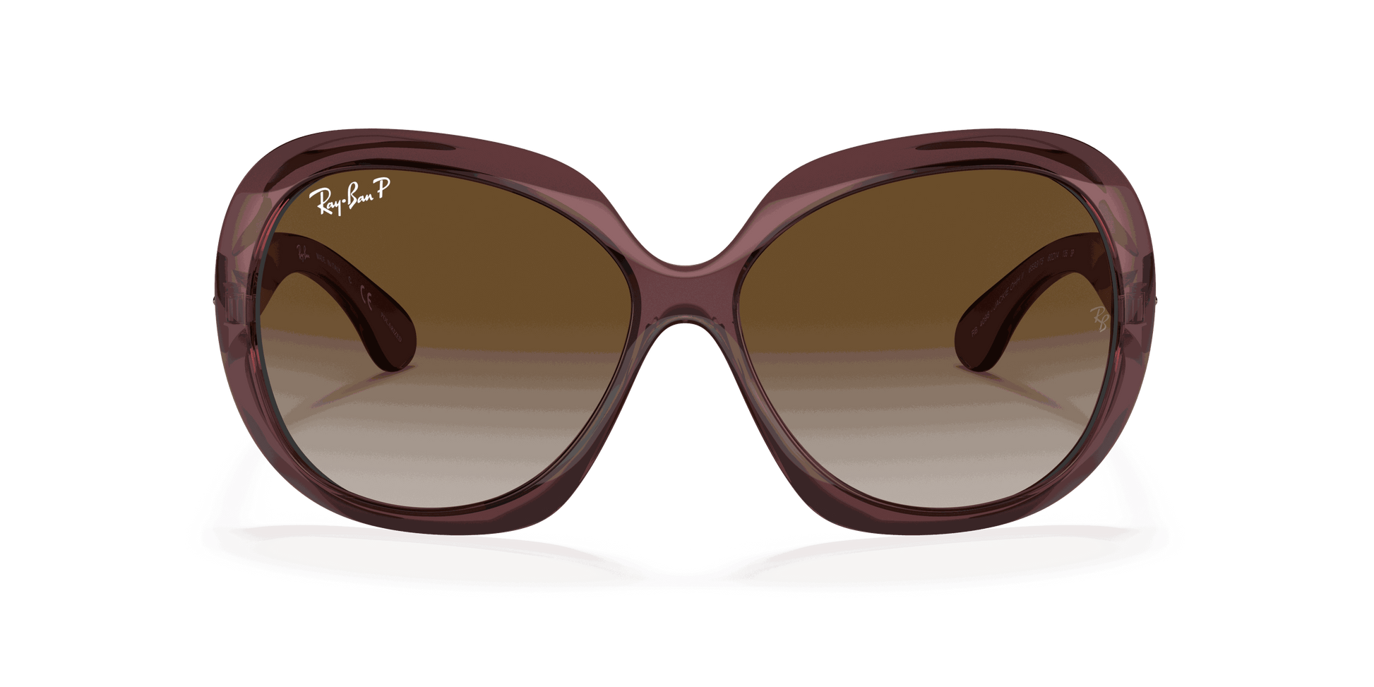 [Grey Gradient Brown Polar Lenses, Polished Transparent Dark Brown Frame]