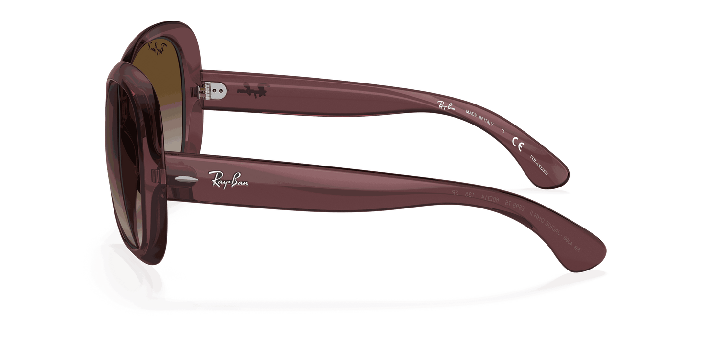 [Grey Gradient Brown Polar Lenses, Polished Transparent Dark Brown Frame]
