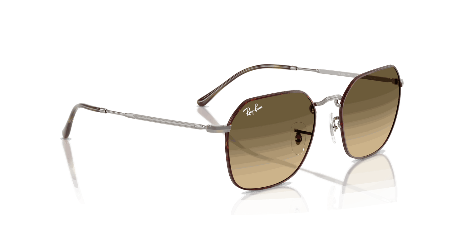 [Brown Vintage Gradient Black Lenses, Polished Havana On Gunmetal Frame]