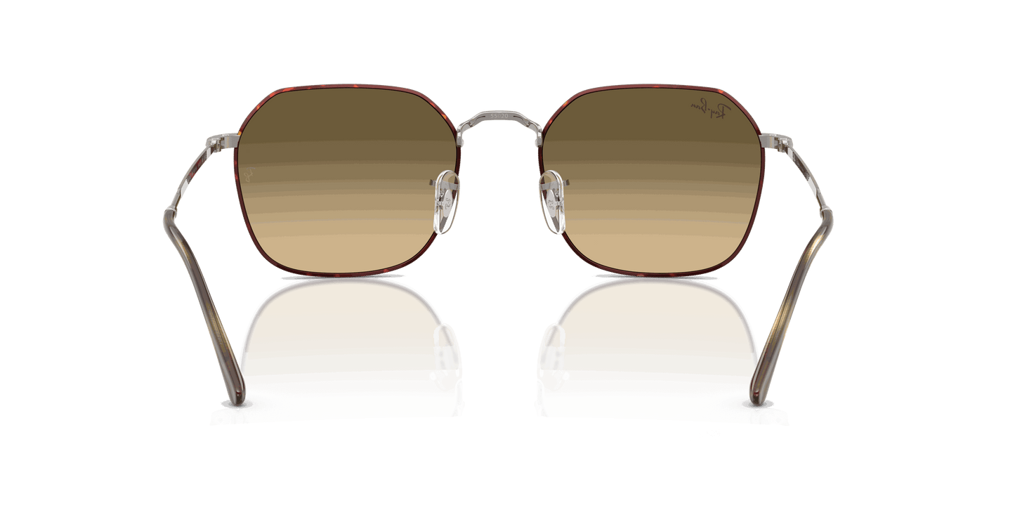 [Brown Vintage Gradient Black Lenses, Polished Havana On Gunmetal Frame]