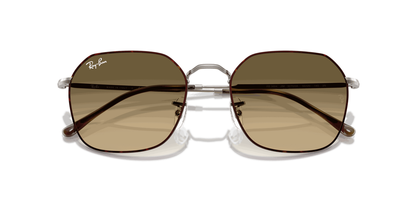 [Brown Vintage Gradient Black Lenses, Polished Havana On Gunmetal Frame]