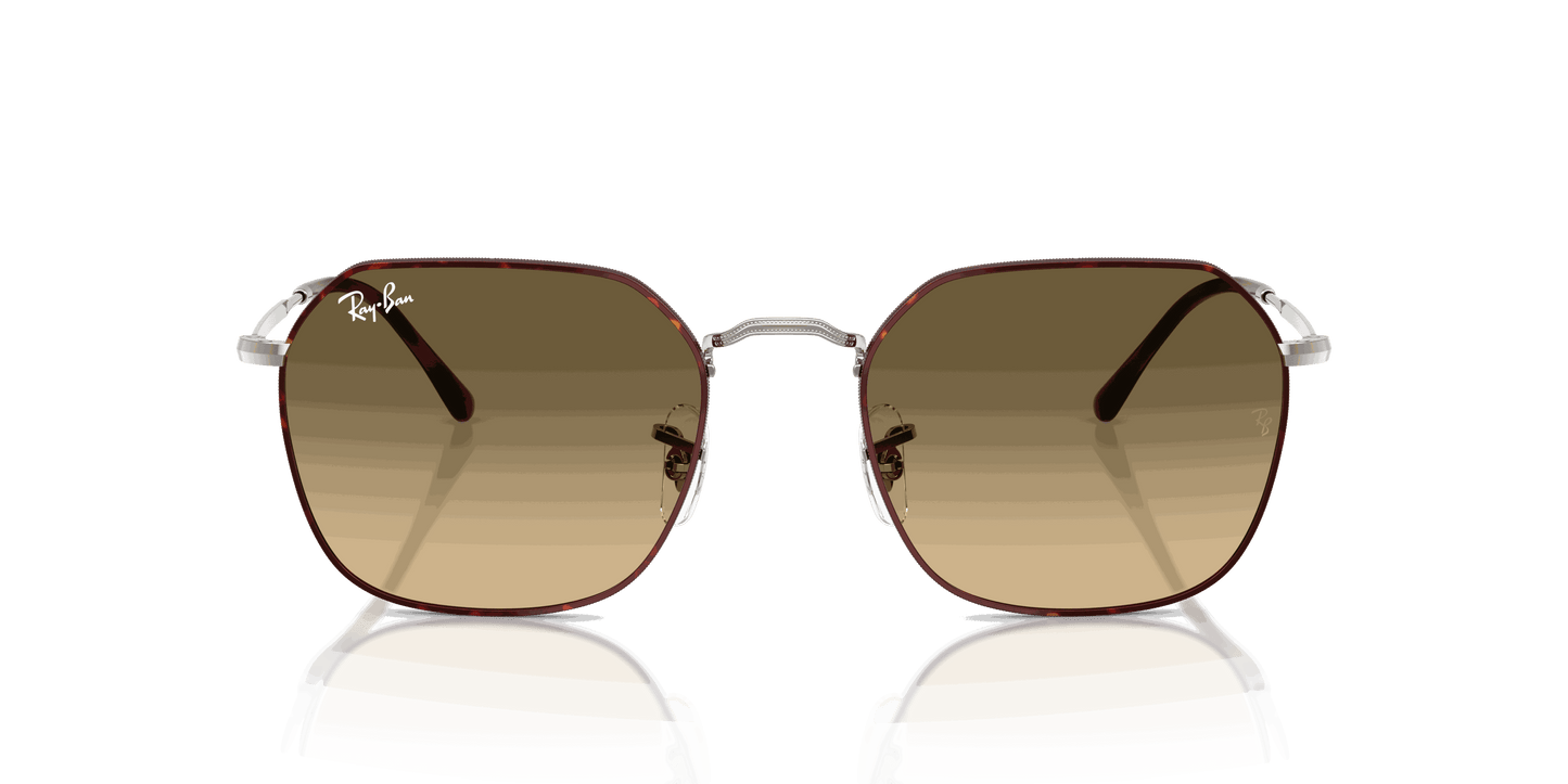[Brown Vintage Gradient Black Lenses, Polished Havana On Gunmetal Frame]