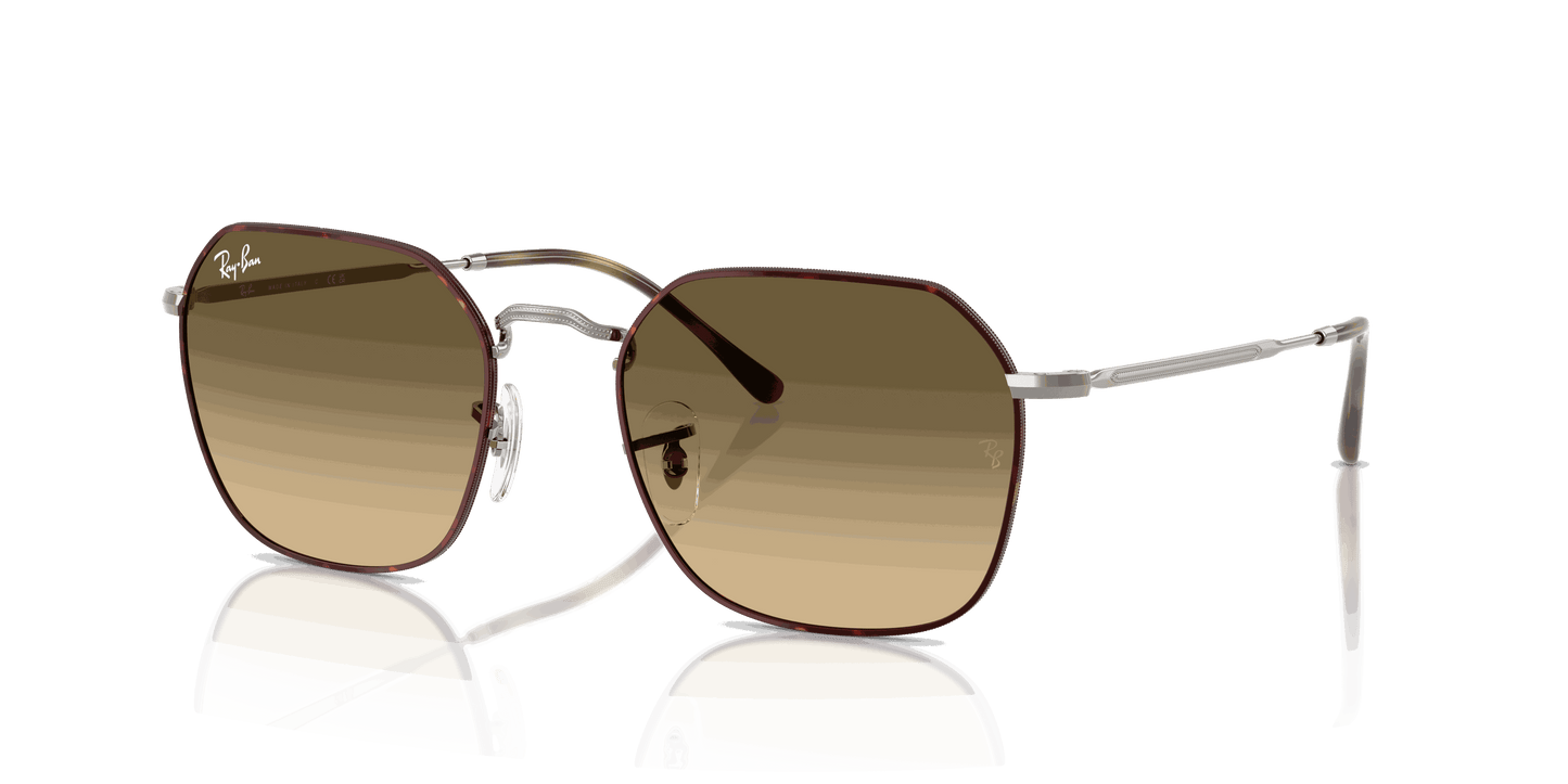 [Brown Vintage Gradient Black Lenses, Polished Havana On Gunmetal Frame]