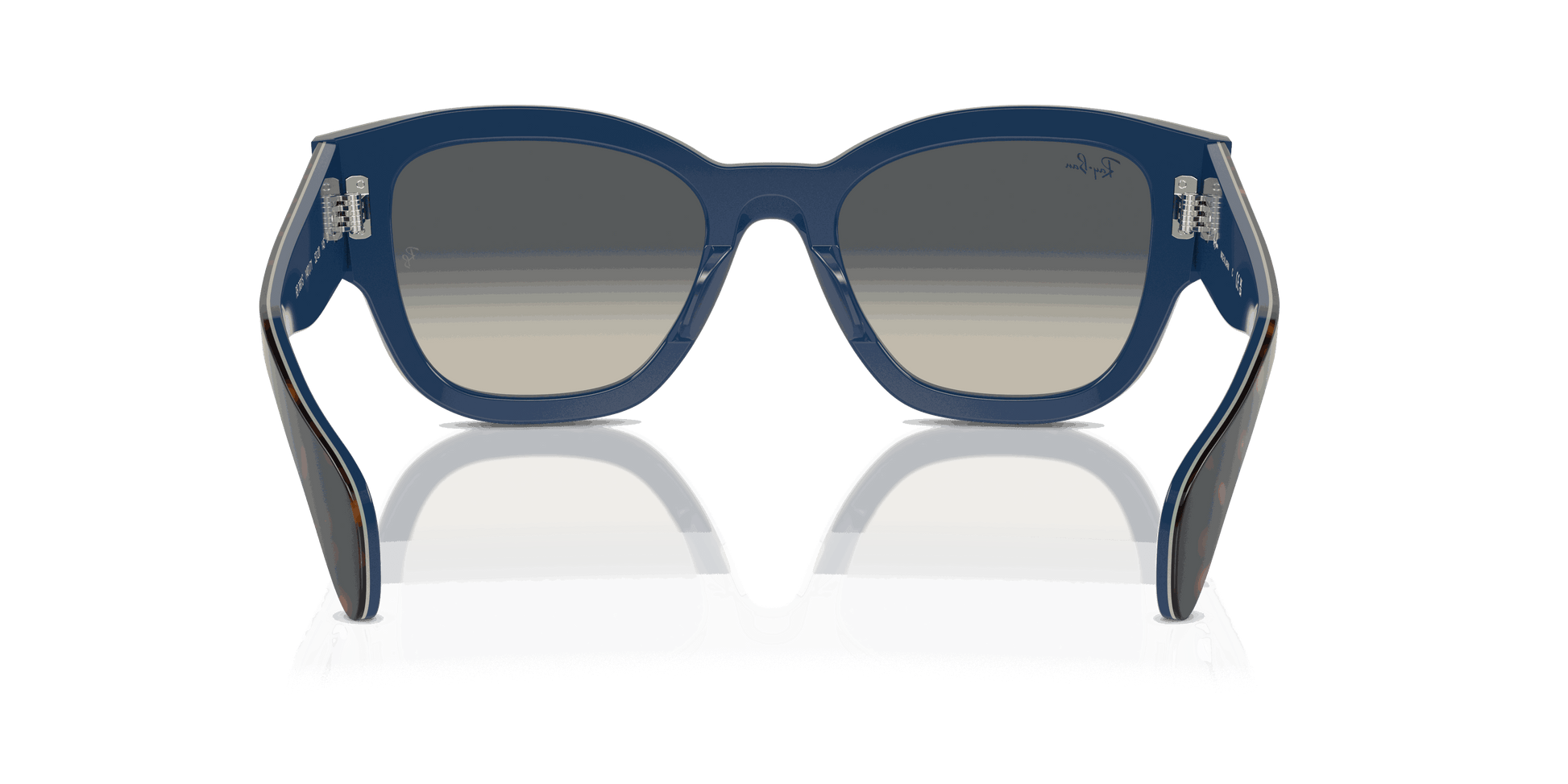[Grey Lenses, Polished Havana Grey On Blue Frame]