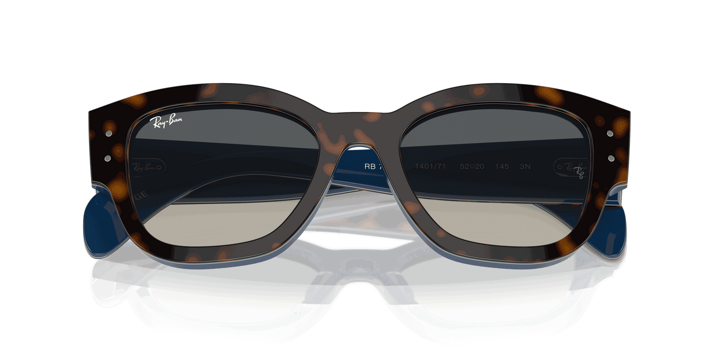 [Grey Lenses, Polished Havana Grey On Blue Frame]
