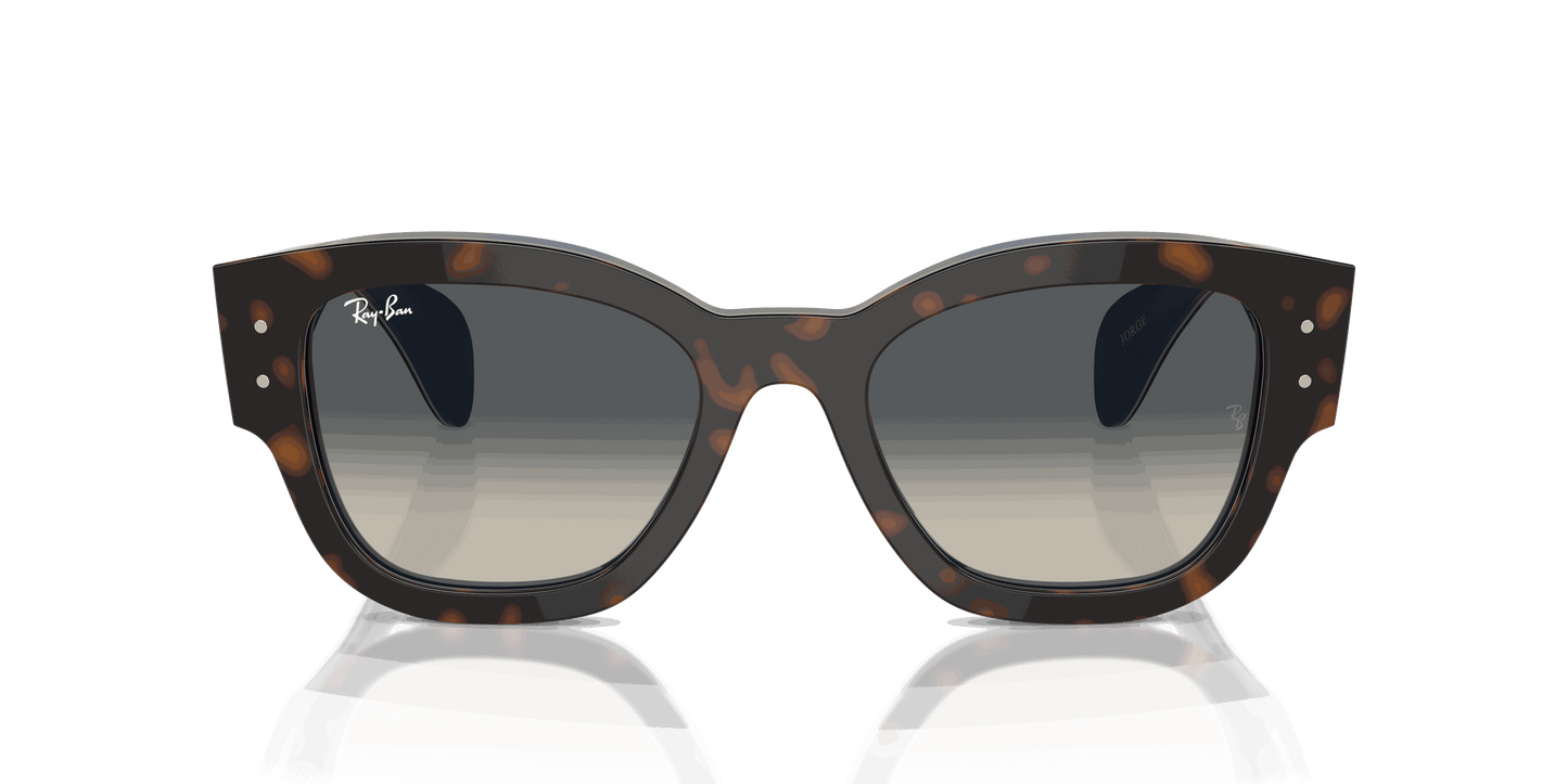[Grey Lenses, Polished Havana Grey On Blue Frame]