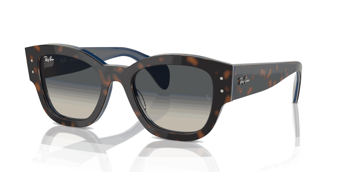 [Grey Lenses, Polished Havana Grey On Blue Frame]