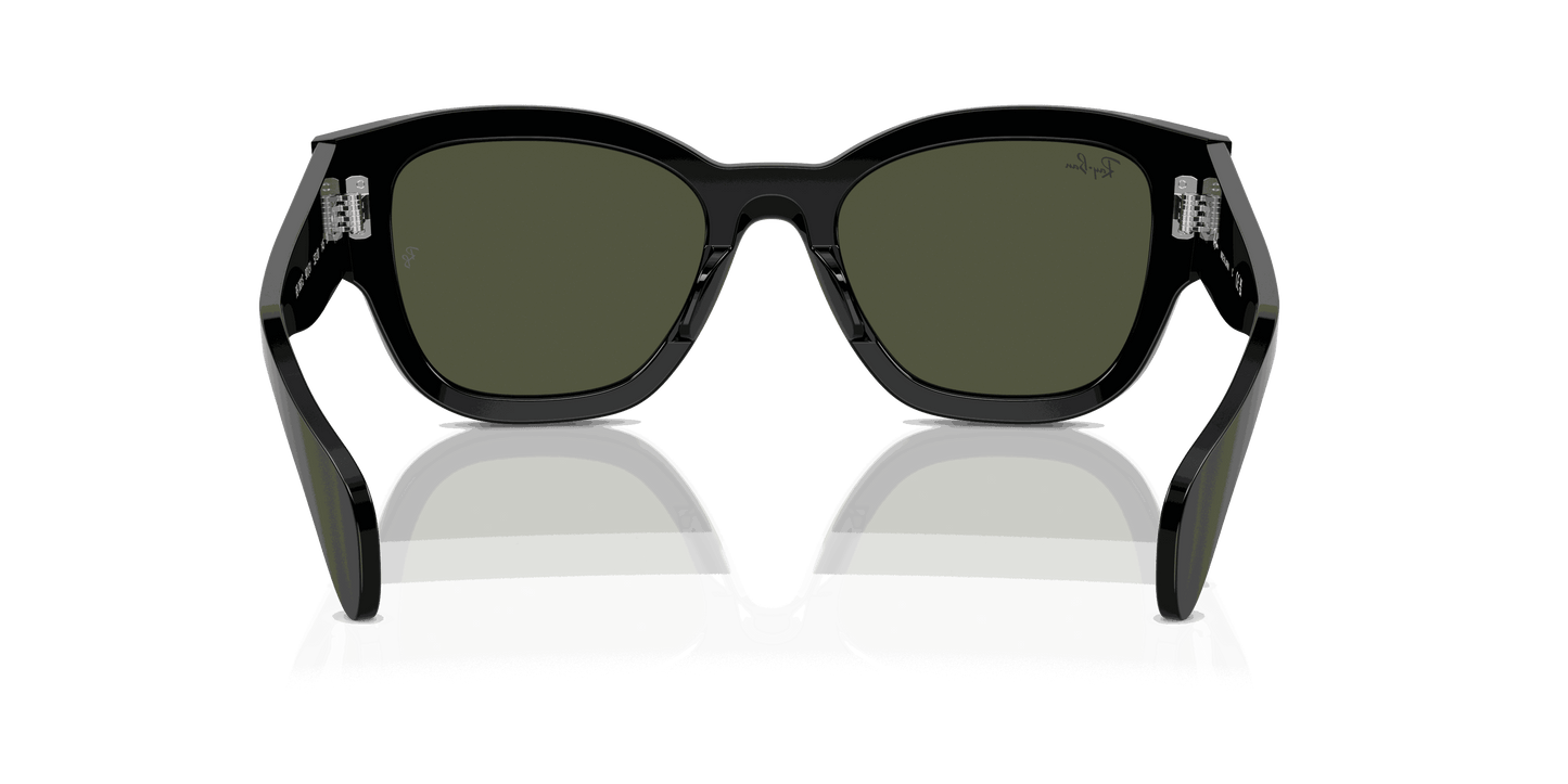 [Green Lenses, Polished Black Frame]