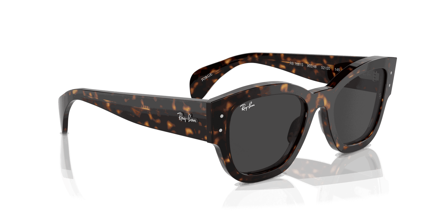[Black Lenses, Polished Havana Frame]