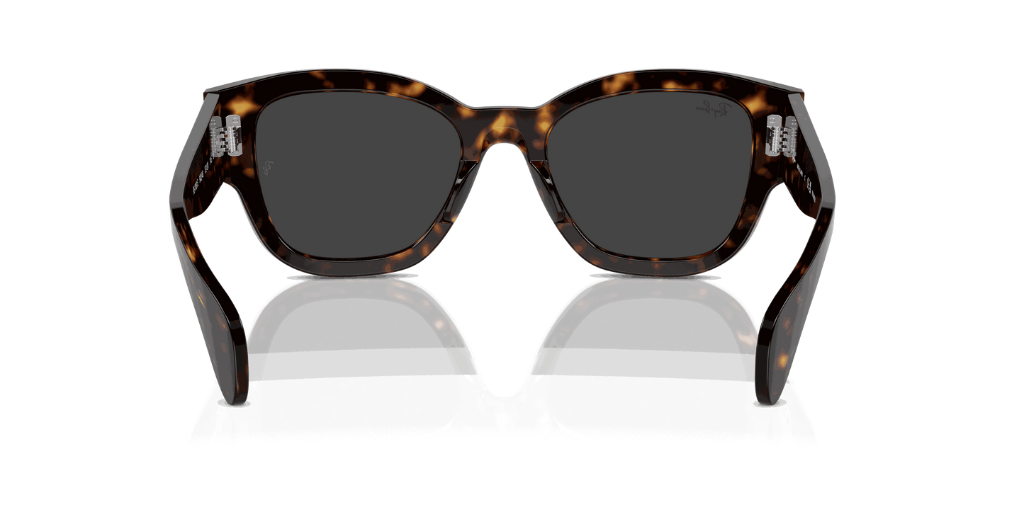 [Black Lenses, Polished Havana Frame]