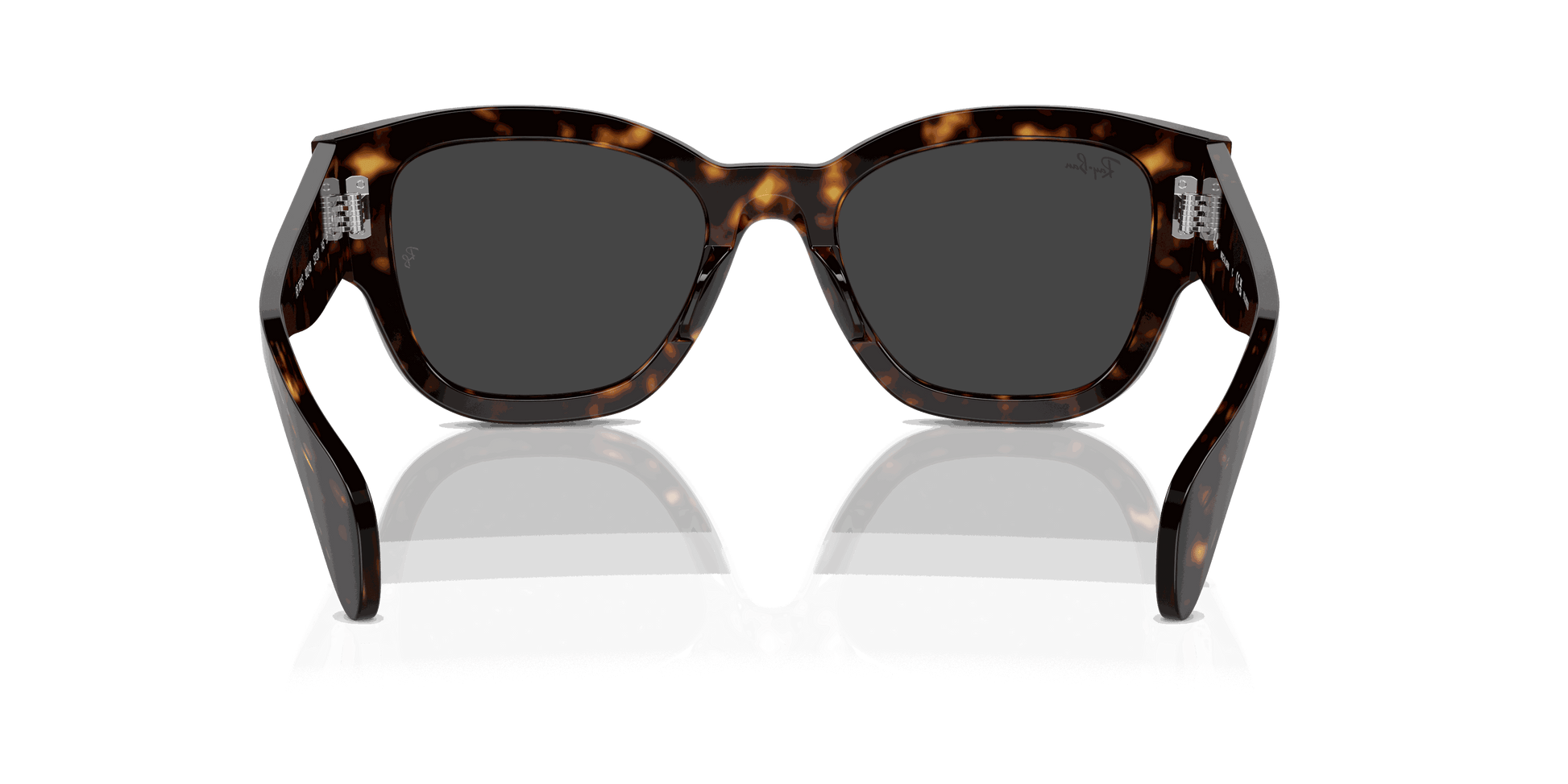 [Black Lenses, Polished Havana Frame]