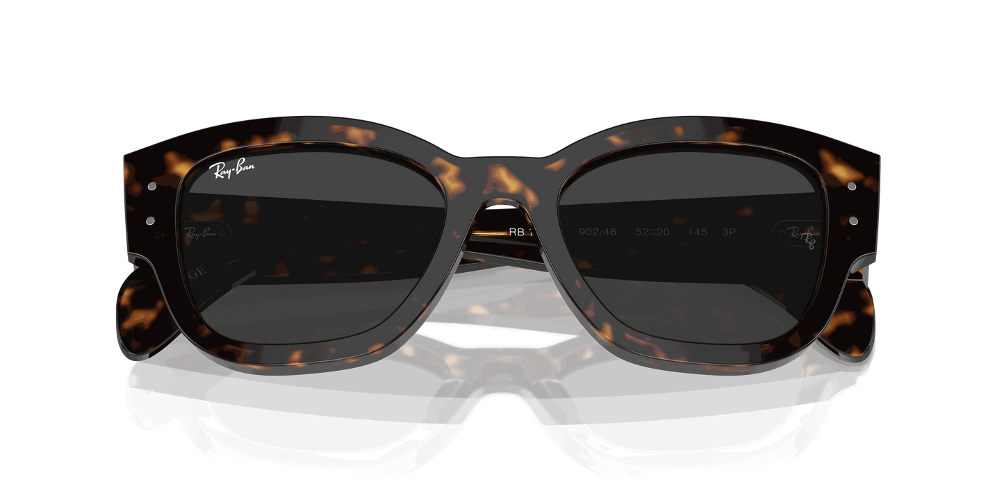 [Black Lenses, Polished Havana Frame]