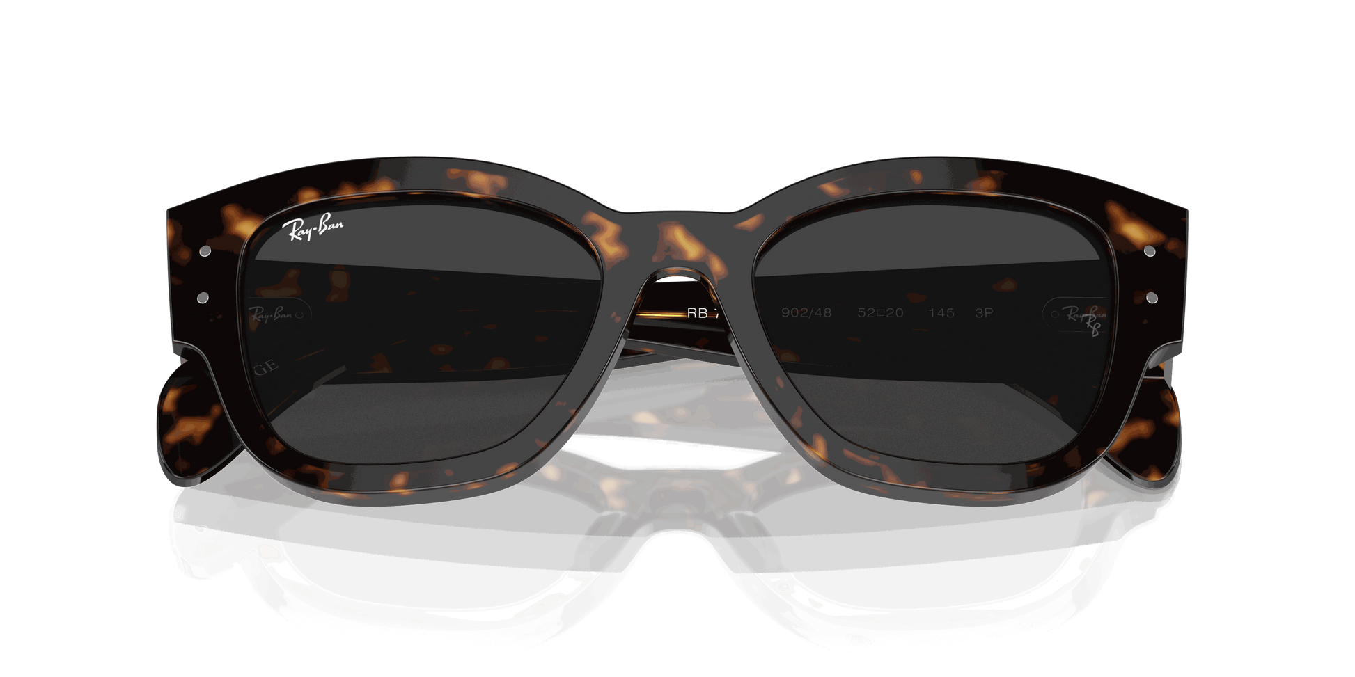 [Black Lenses, Polished Havana Frame]