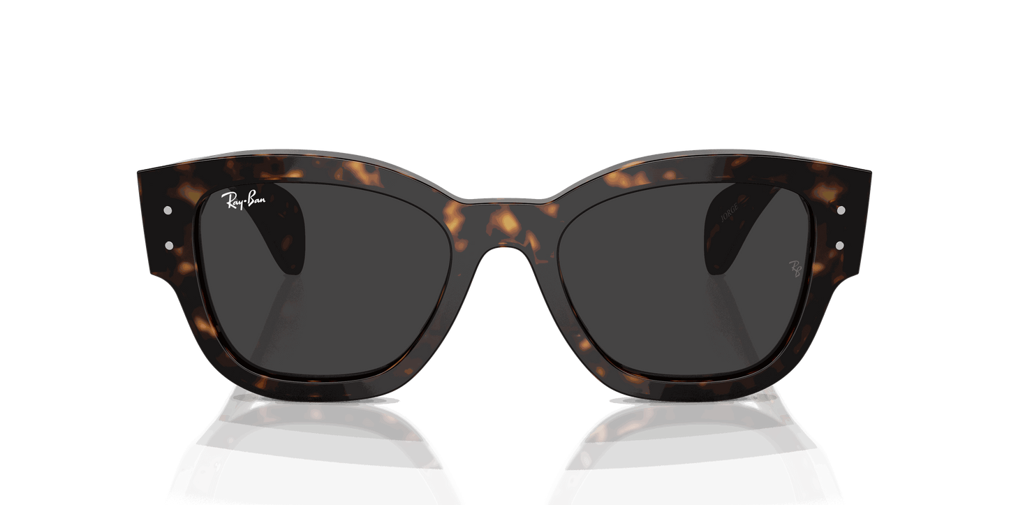 [Black Lenses, Polished Havana Frame]