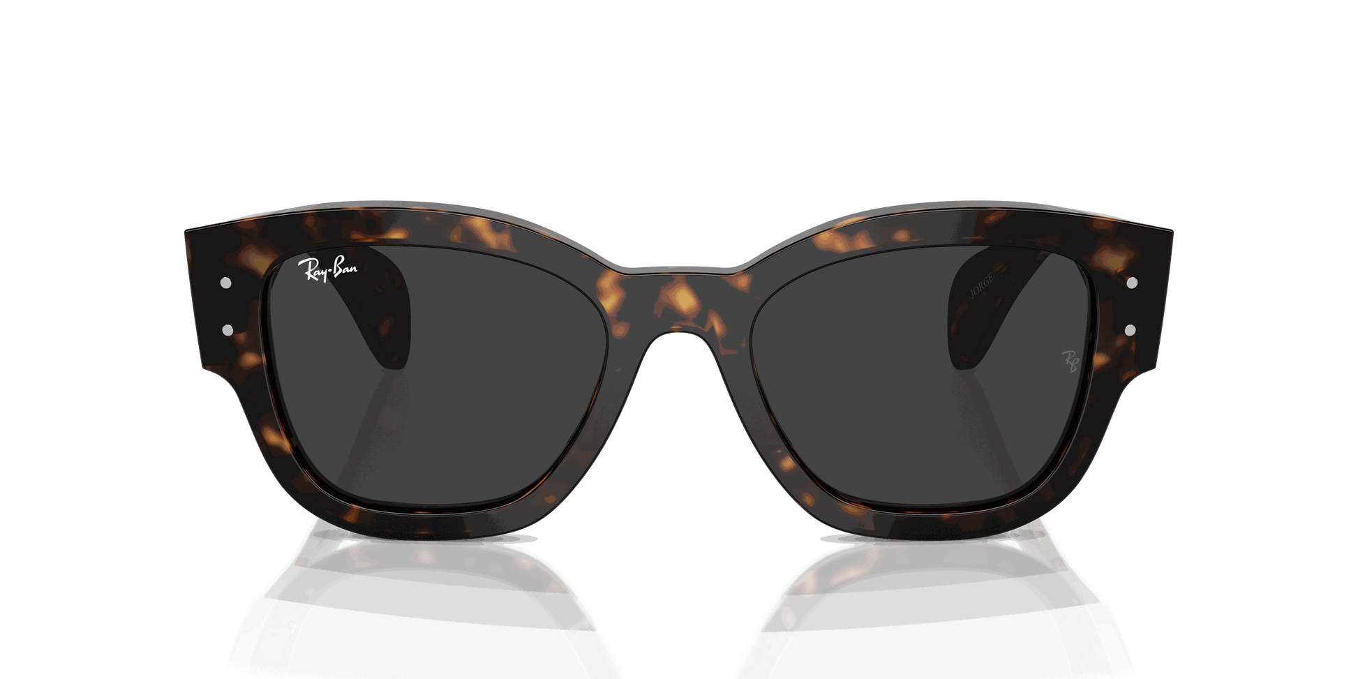 [Black Lenses, Polished Havana Frame]