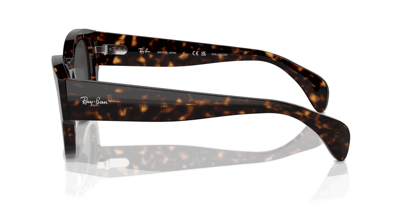 [Black Lenses, Polished Havana Frame]