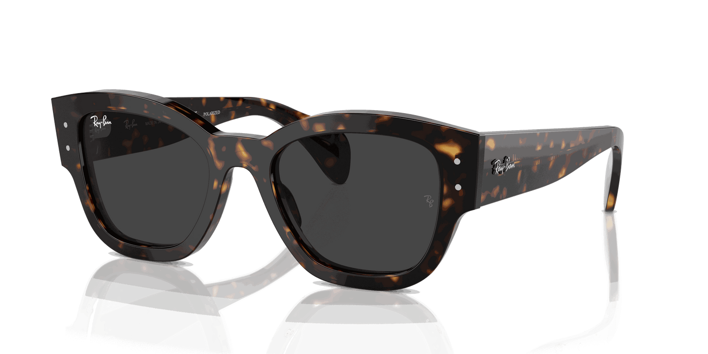 [Black Lenses, Polished Havana Frame]