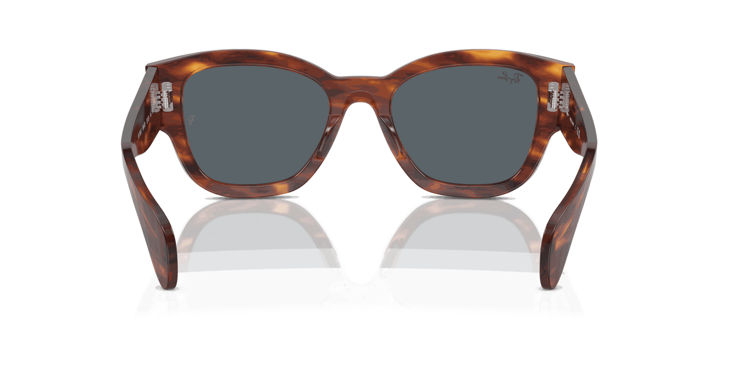 [Blue Lenses, Polished Striped Havana Frame]