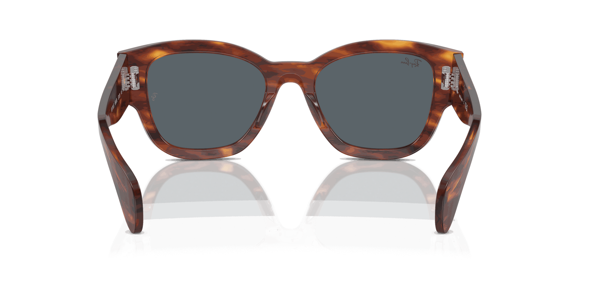 [Blue Lenses, Polished Striped Havana Frame]