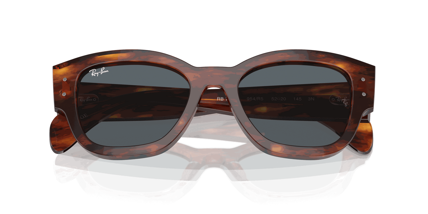 [Blue Lenses, Polished Striped Havana Frame]