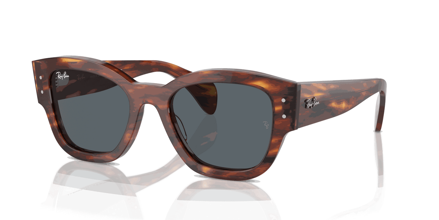 [Blue Lenses, Polished Striped Havana Frame]
