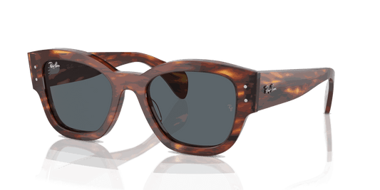 [Blue Lenses, Polished Striped Havana Frame]