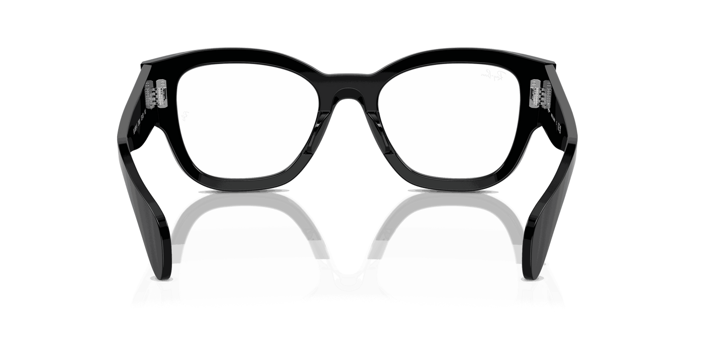 [Clear Lenses, Polished Black Frame]
