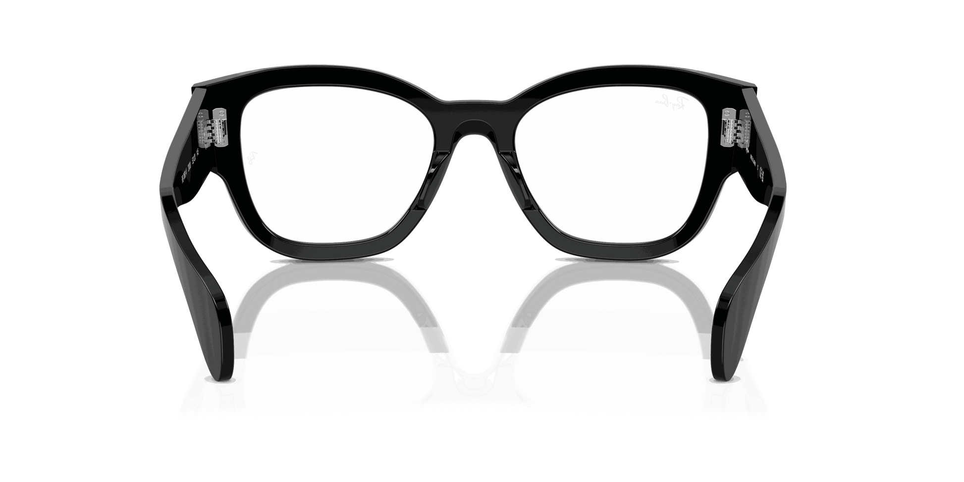 [Clear Lenses, Polished Black Frame]