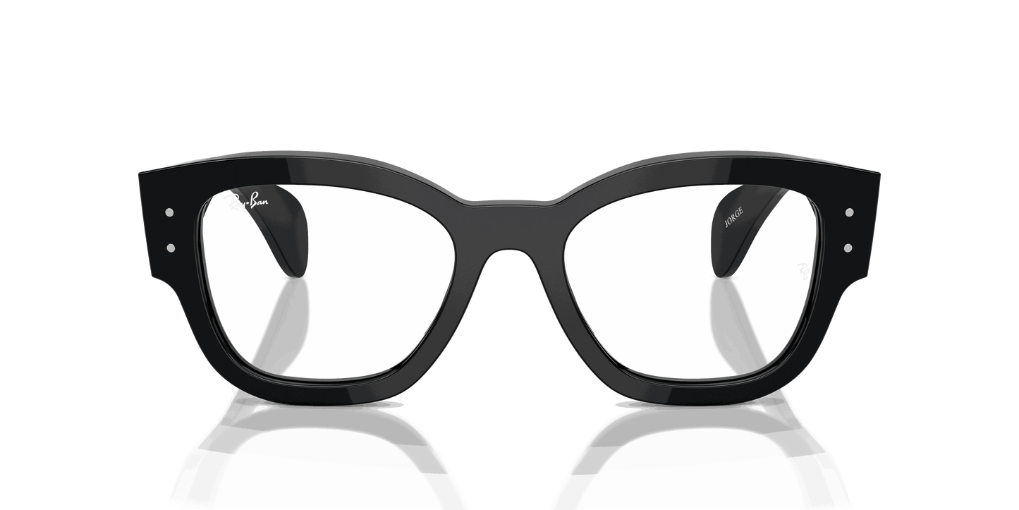 [Clear Lenses, Polished Black Frame]