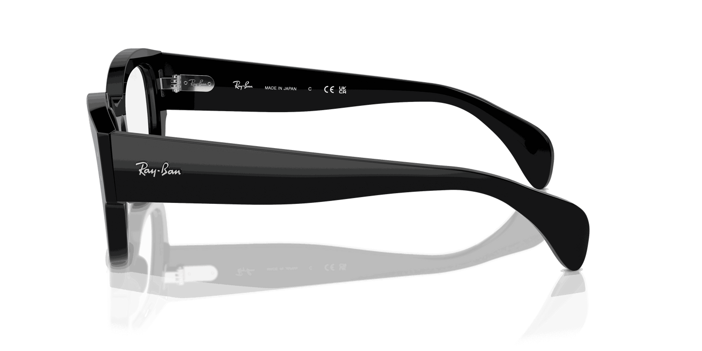 [Clear Lenses, Polished Black Frame]