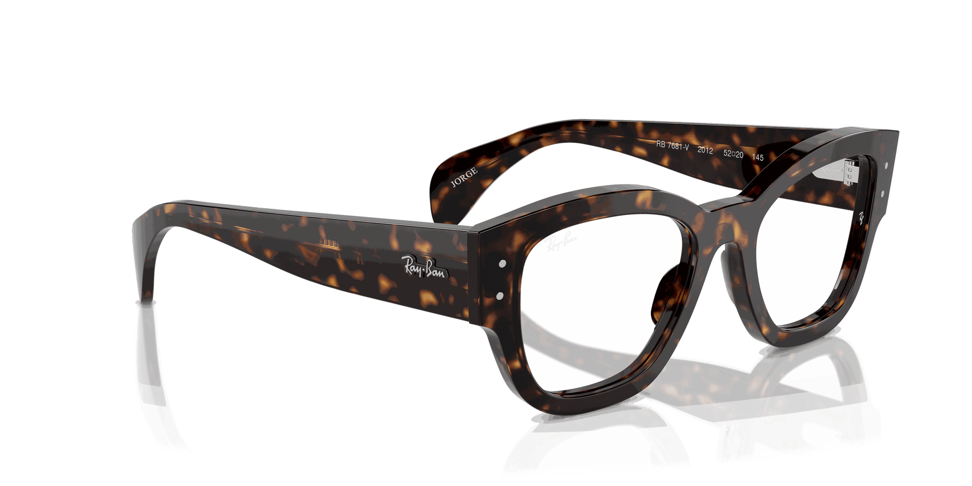 [Clear Lenses, Polished Havana Frame]