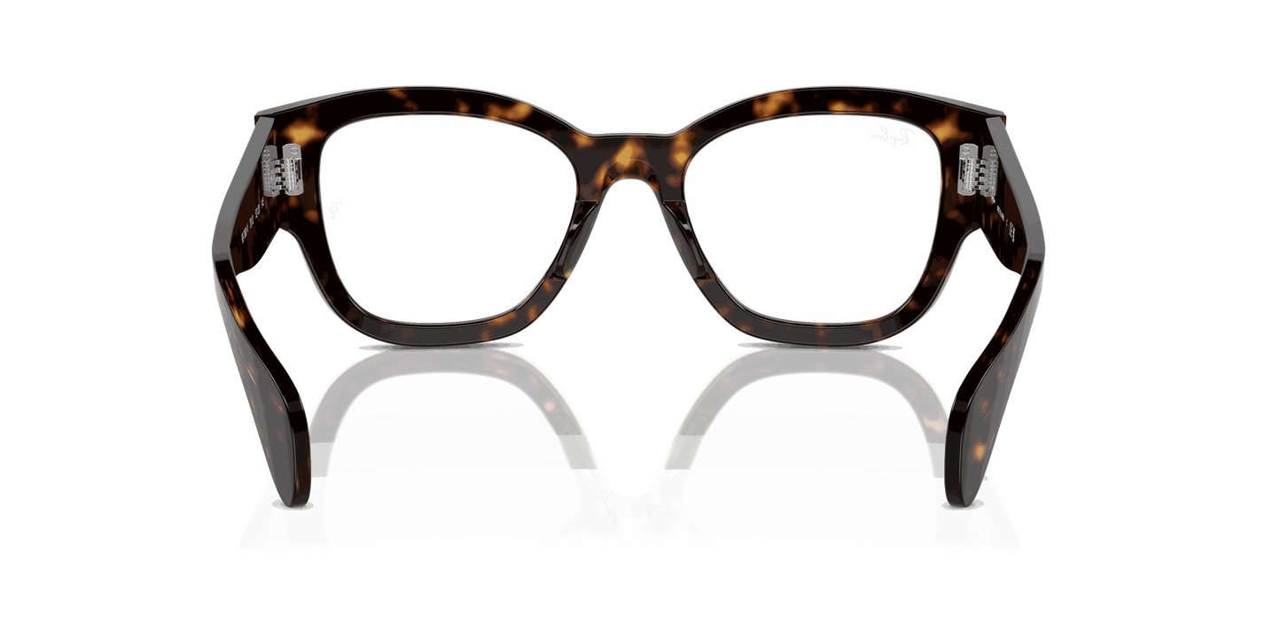 [Clear Lenses, Polished Havana Frame]