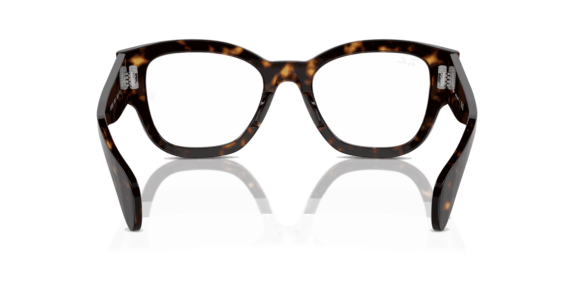 [Clear Lenses, Polished Havana Frame]