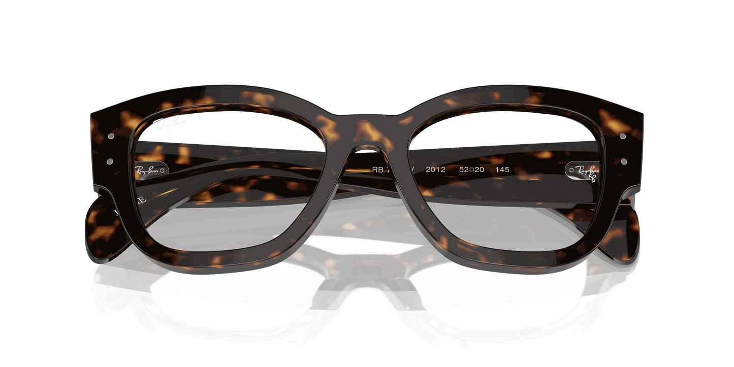 [Clear Lenses, Polished Havana Frame]